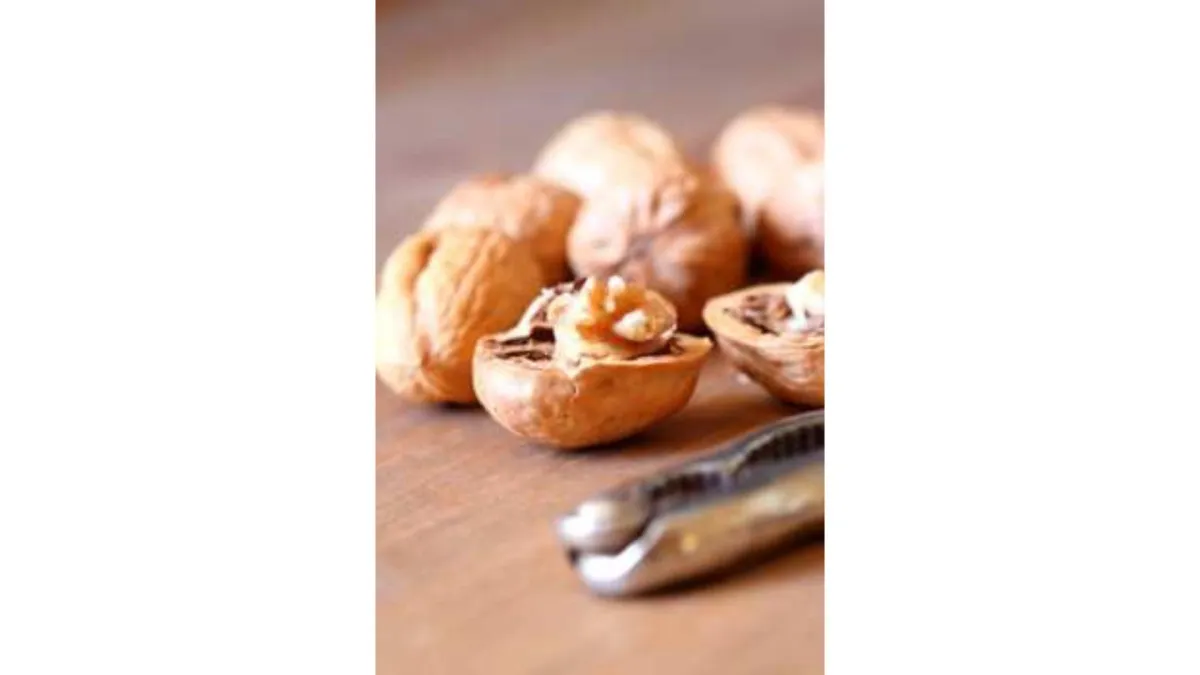 walnuts