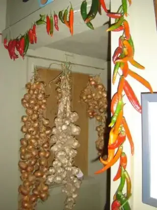 fat plaits of garlic, strings of dried chillies, and bunches of golden shallots hanging above the Agar