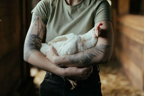 farmer holding white hen