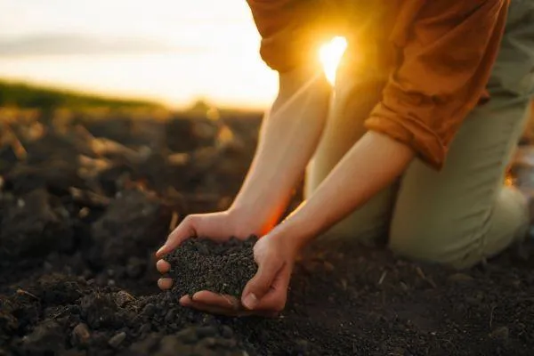 a farmer holding compost enriched with biochar