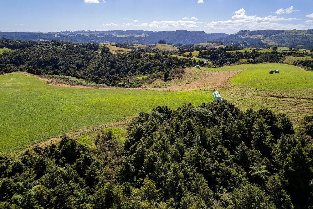 farmland and bush