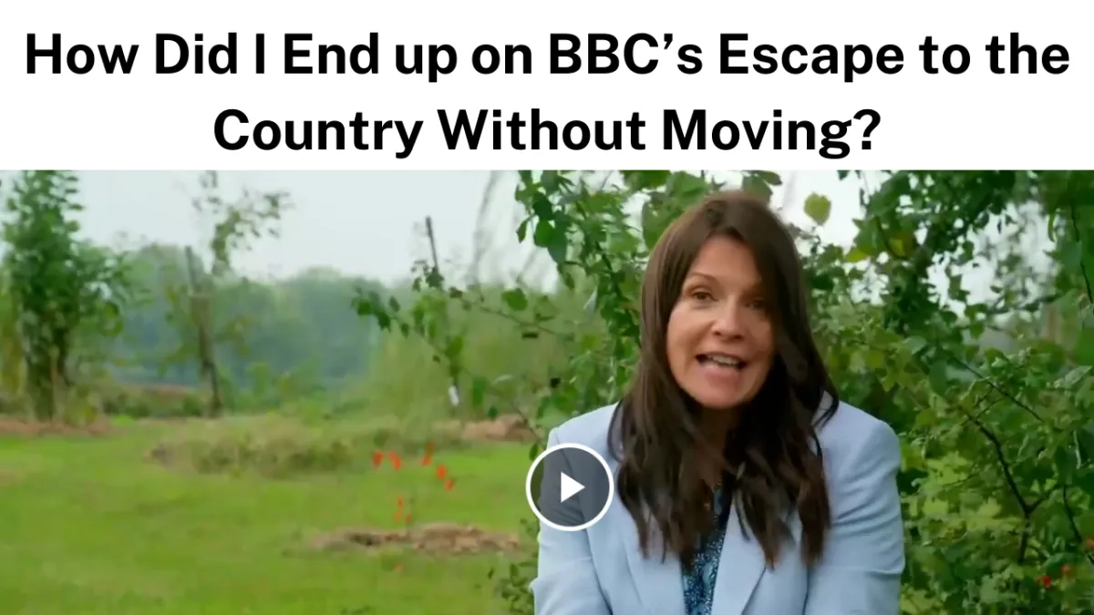 Escape to the Country