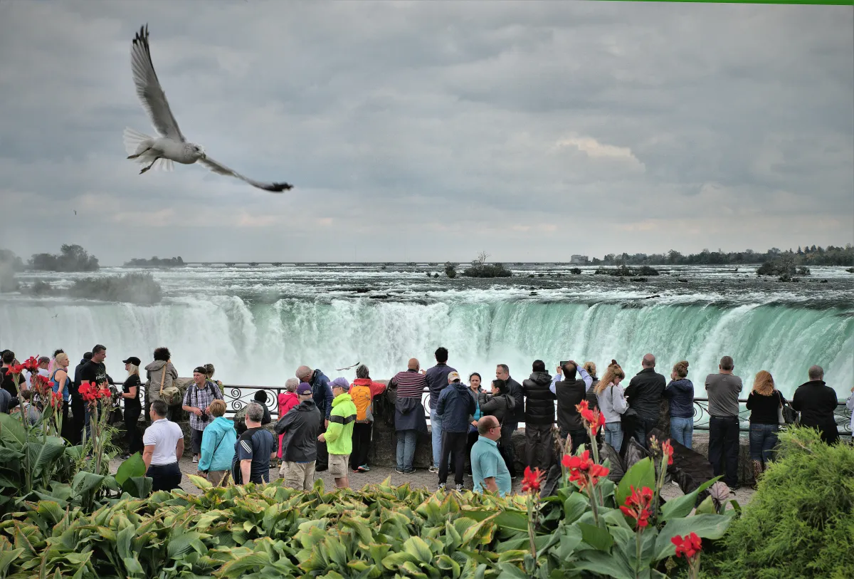Ecotourism