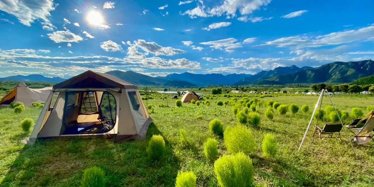Seasonality Smarts: How to Maximize Revenue in Canada’s Tourism Off-Season