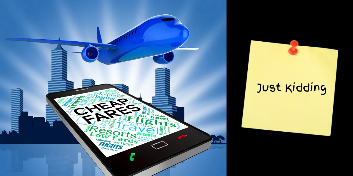 When the Spotlight Misleads: What Industry Leaders Celebrate vs What Small Operators Live