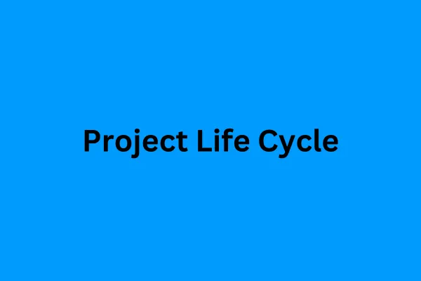 Project Life Cycle