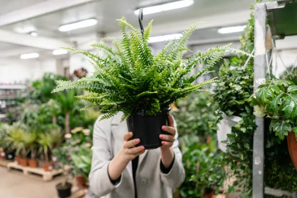 garden center