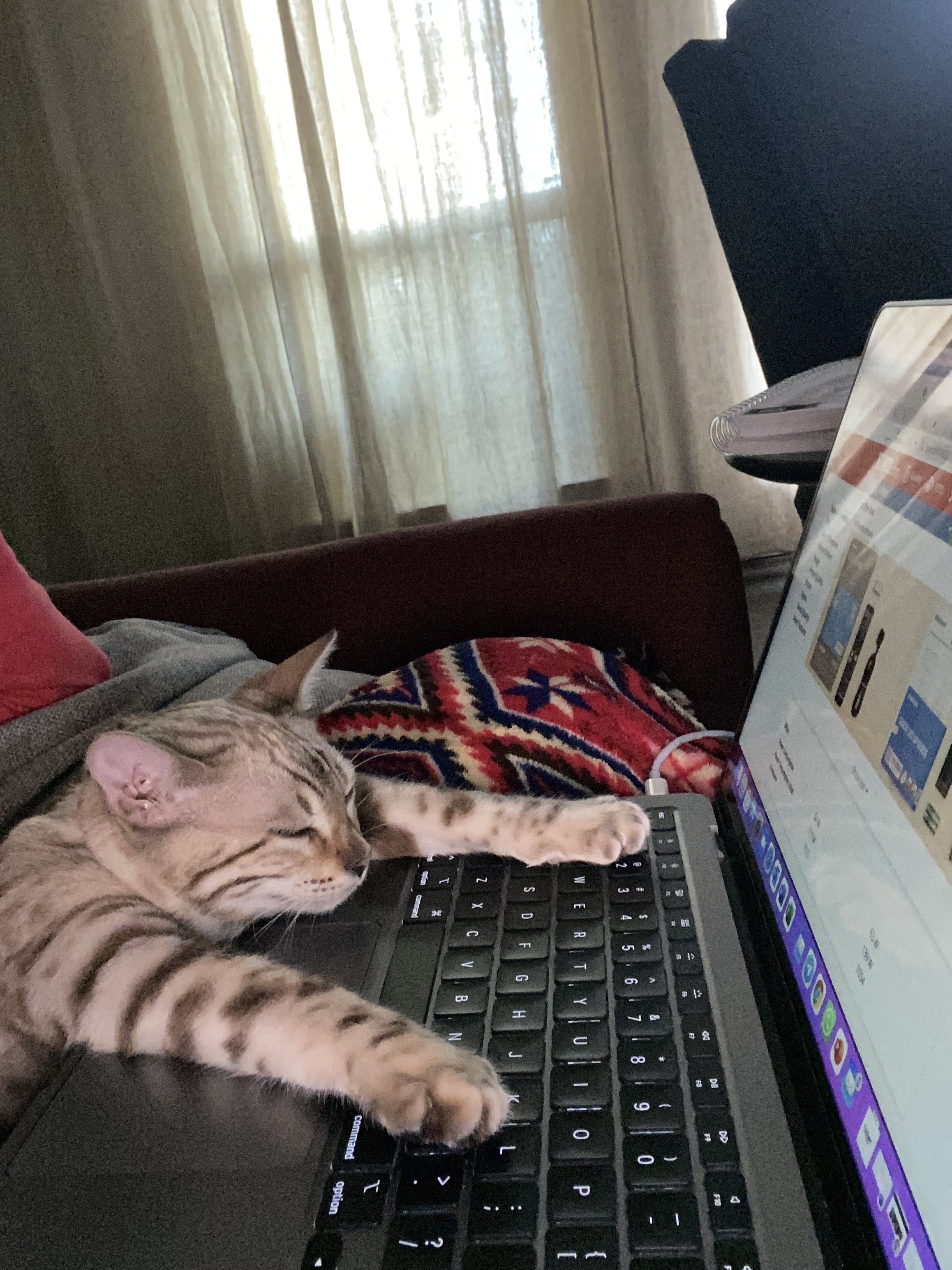 Your Calendar Is Telling On You