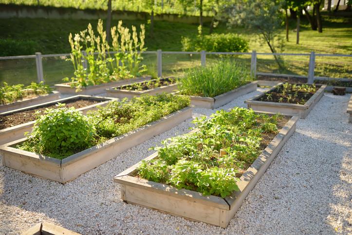 Getting Ready for Spring: Raised Garden Prep Tips for Central Ohio