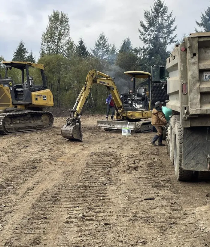 Lot Clearing Near Thurston County, WA