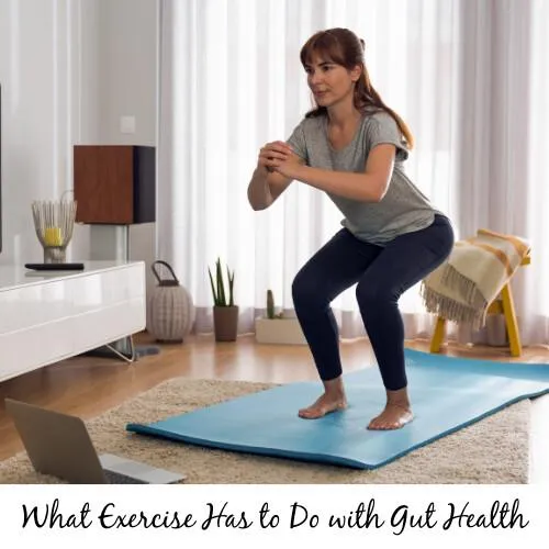 Exercise and gut health