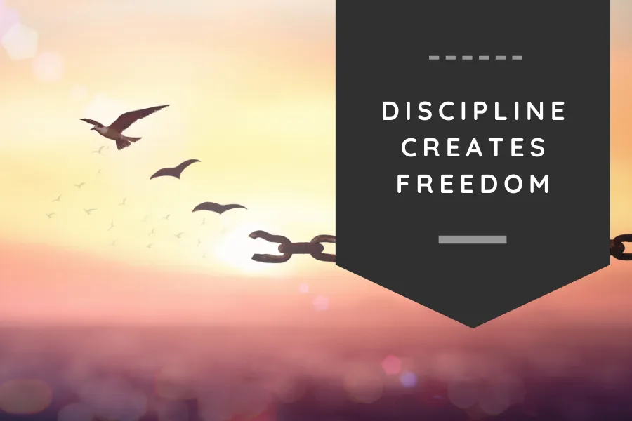 Discipline creates freedom