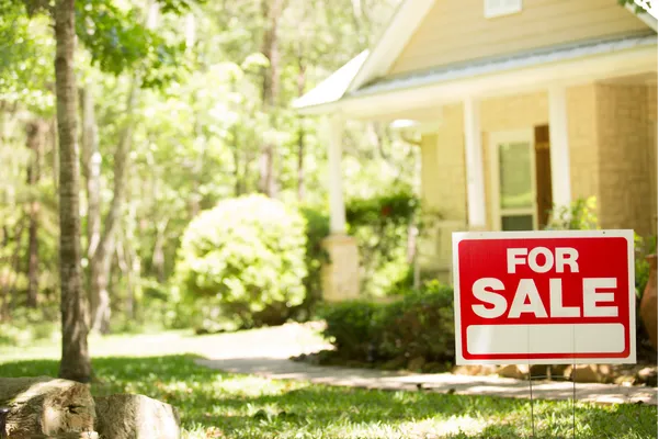 A bright, sunny day with a "For Sale" sign in front of a house surrounded by lush greenery.