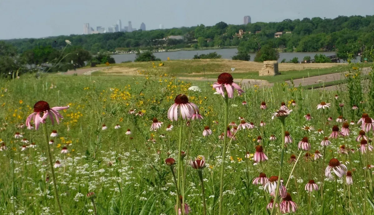 Exploring Dallas’s White Rock Lake Park