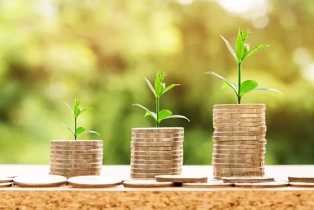 stacks of coins with sprouting trees coming from the top