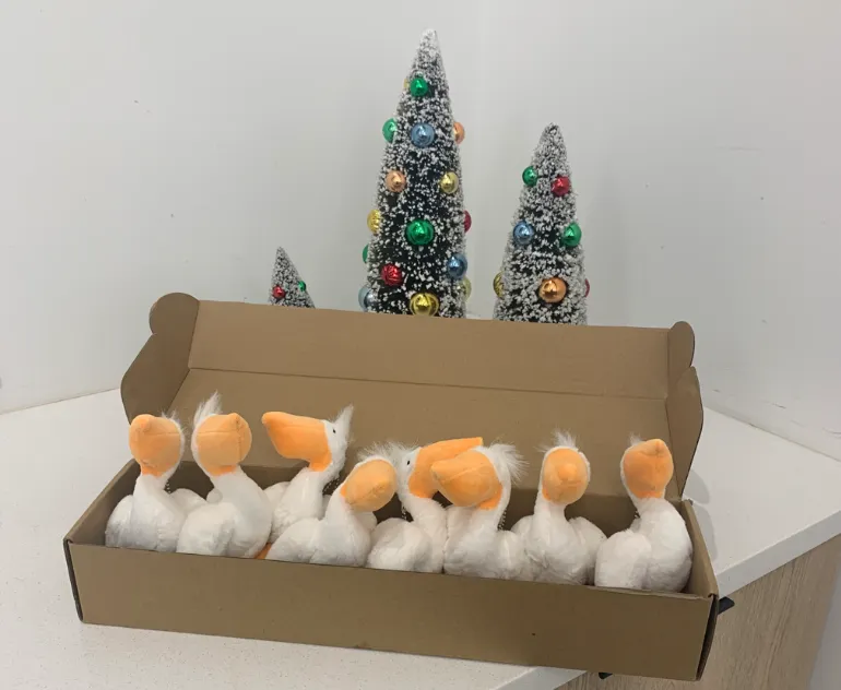 It’s Giving Tuesday!