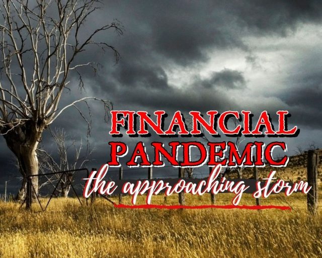 FINANCIAL PANDEMIC: The Approaching Storm