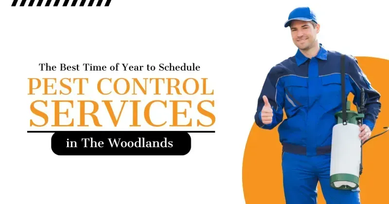 The Best Time of Year to Schedule Pest Control Services in The Woodlands