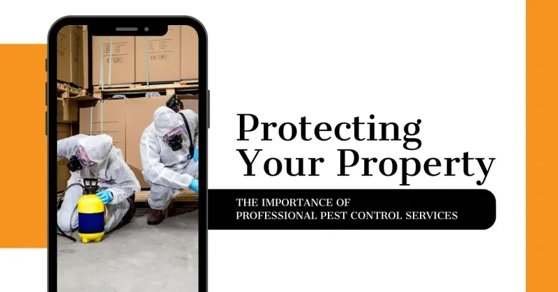 Protecting Your Property: The Importance of Professional Pest Control Services