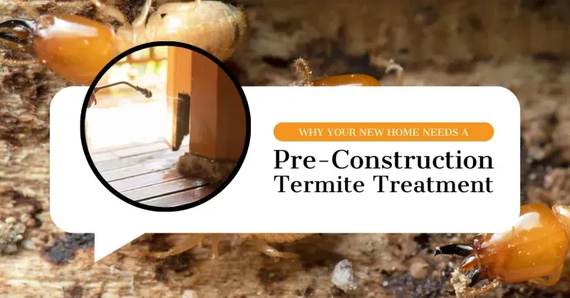 Why Your New Home Needs a Pre-Construction Termite Treatment