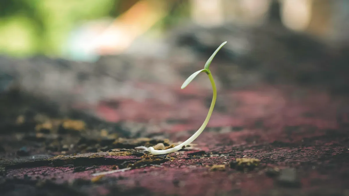 Bounce Back Brilliance: Why Building Your Resilience is the Ultimate Life Hack