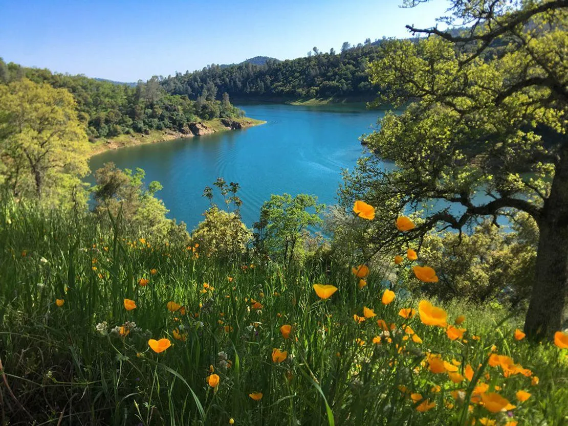 New Melones Lake: The Ultimate Outdoor Escape from San Francisco