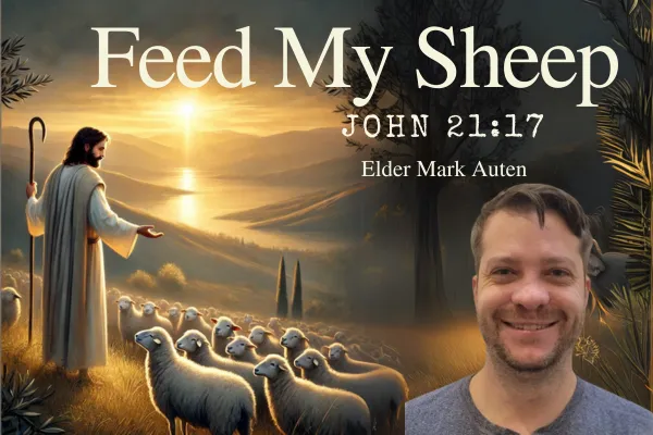 Feed My Sheep