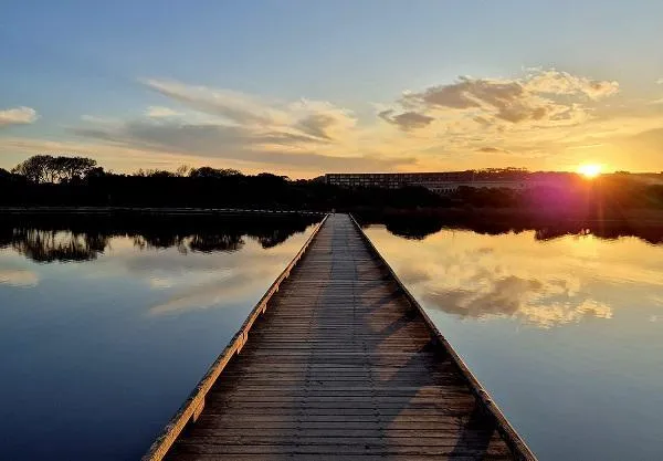 Transform Your Mindset: 3 Steps to Break Through Self-Sabotage
