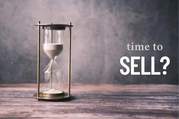 Sell Your Business Now?