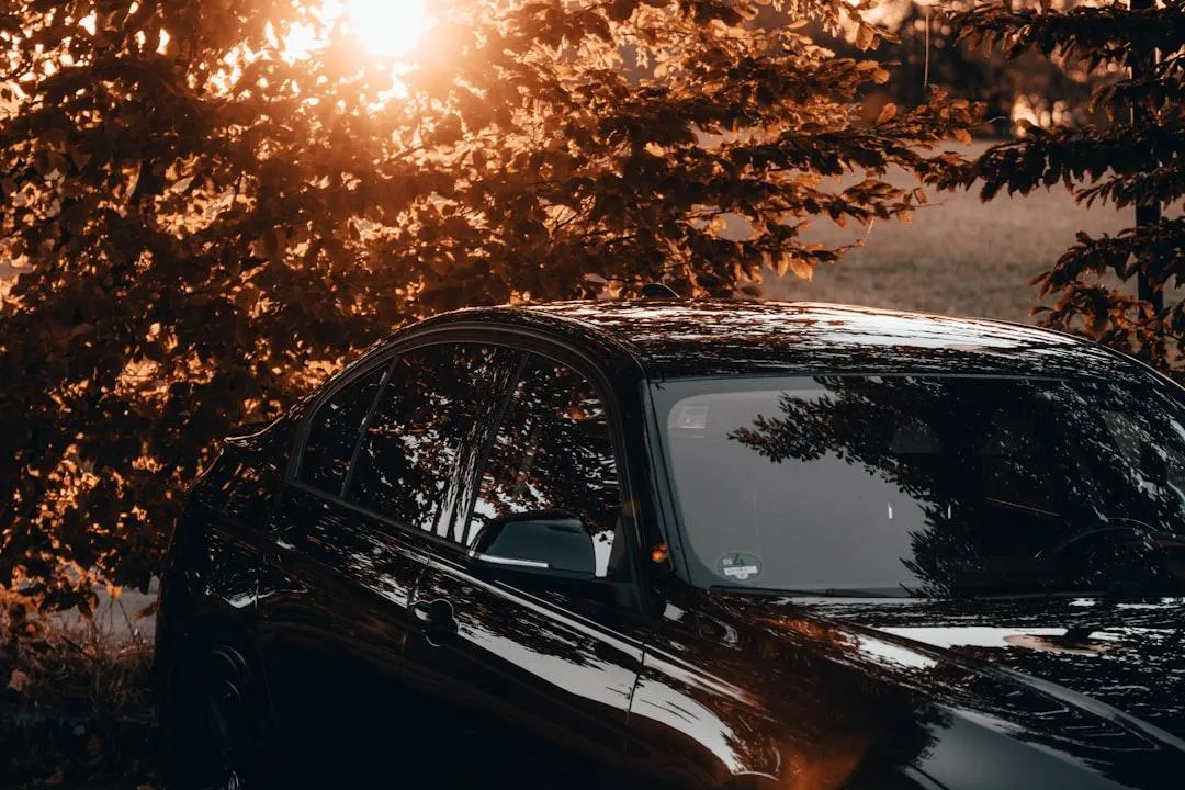 How Seasonal Changes Impact Your Vehicle’s Condition and How Detailing Can Help