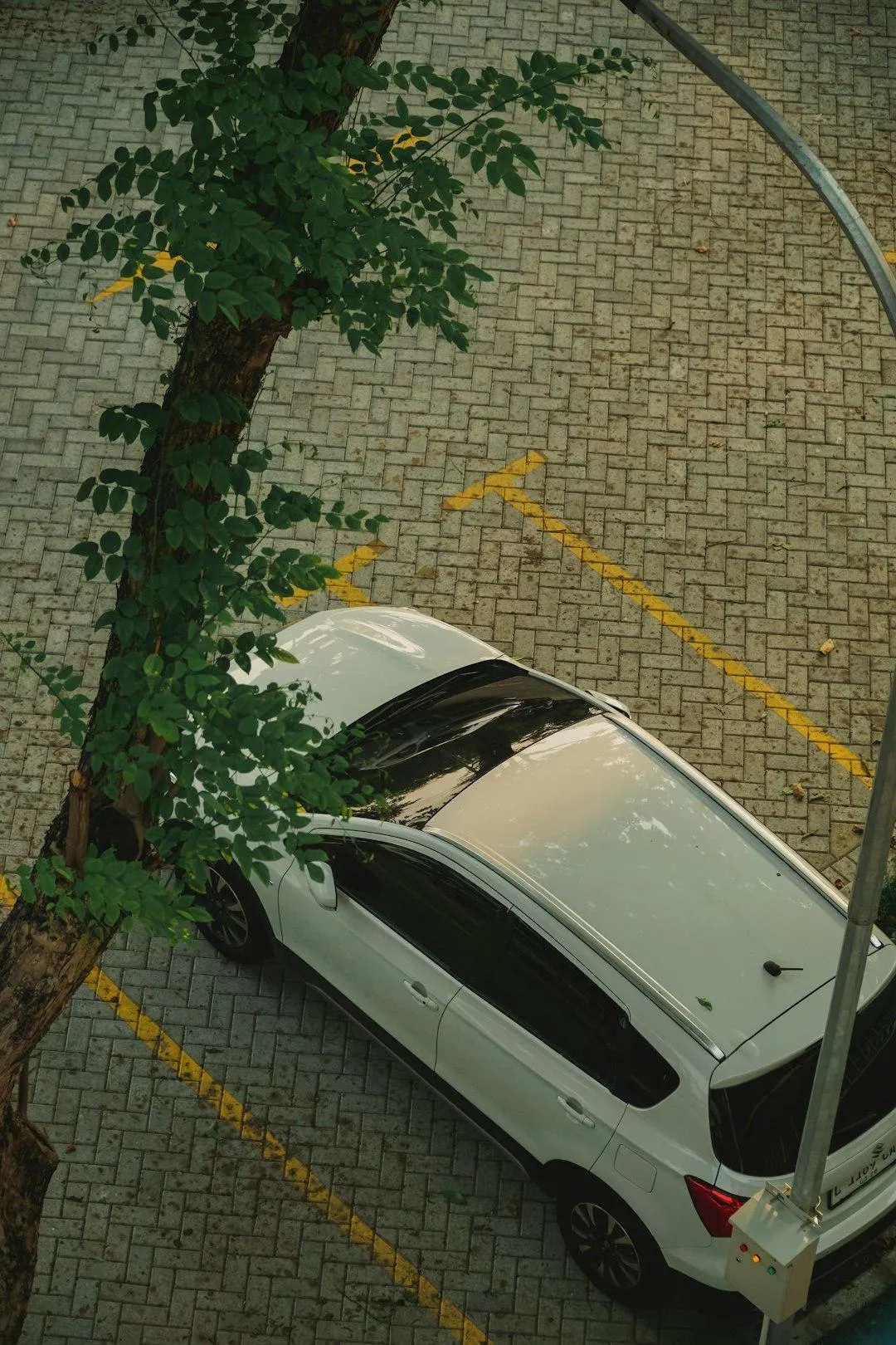 Shield Your Car from the Elements: The Benefits of Auto Detailing for Outdoor Parking