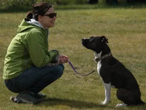 Reducing Fearful and Reactive Behavior