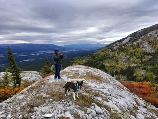 Is your dog ready for off-leash adventures?