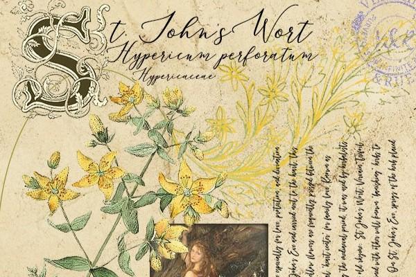 Safe Summer Herbal