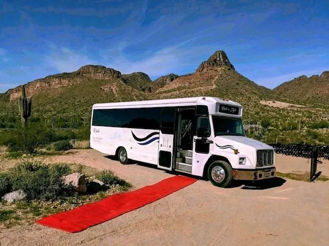 Securing Budget-Friendly Party Bus Services