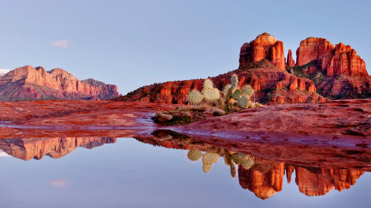 Enjoy Scenic Adventures With Pink Boat Tours