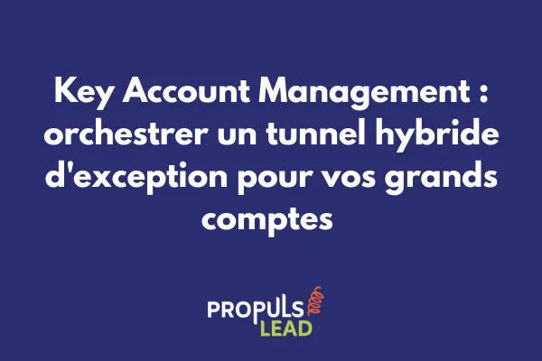 Schéma d'un tunnel de vente hybride personnalisé pour la gestion stratégique des grands comptes avec multiples points de contact