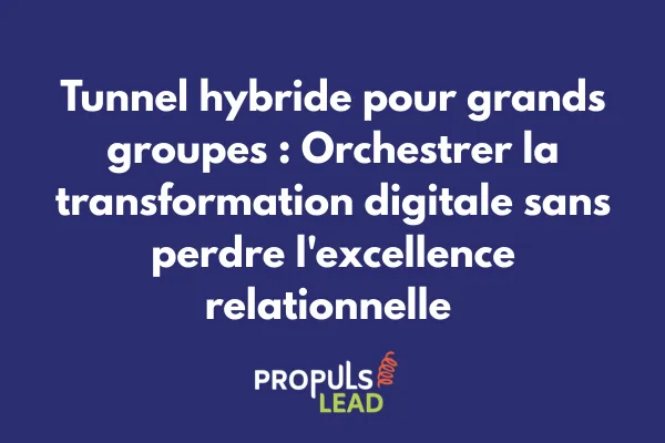 Schéma d'architecture d'un tunnel de vente hybride complexe pour grand groupe montrant l'intégration multi-divisions, multi-pays et multi-canaux