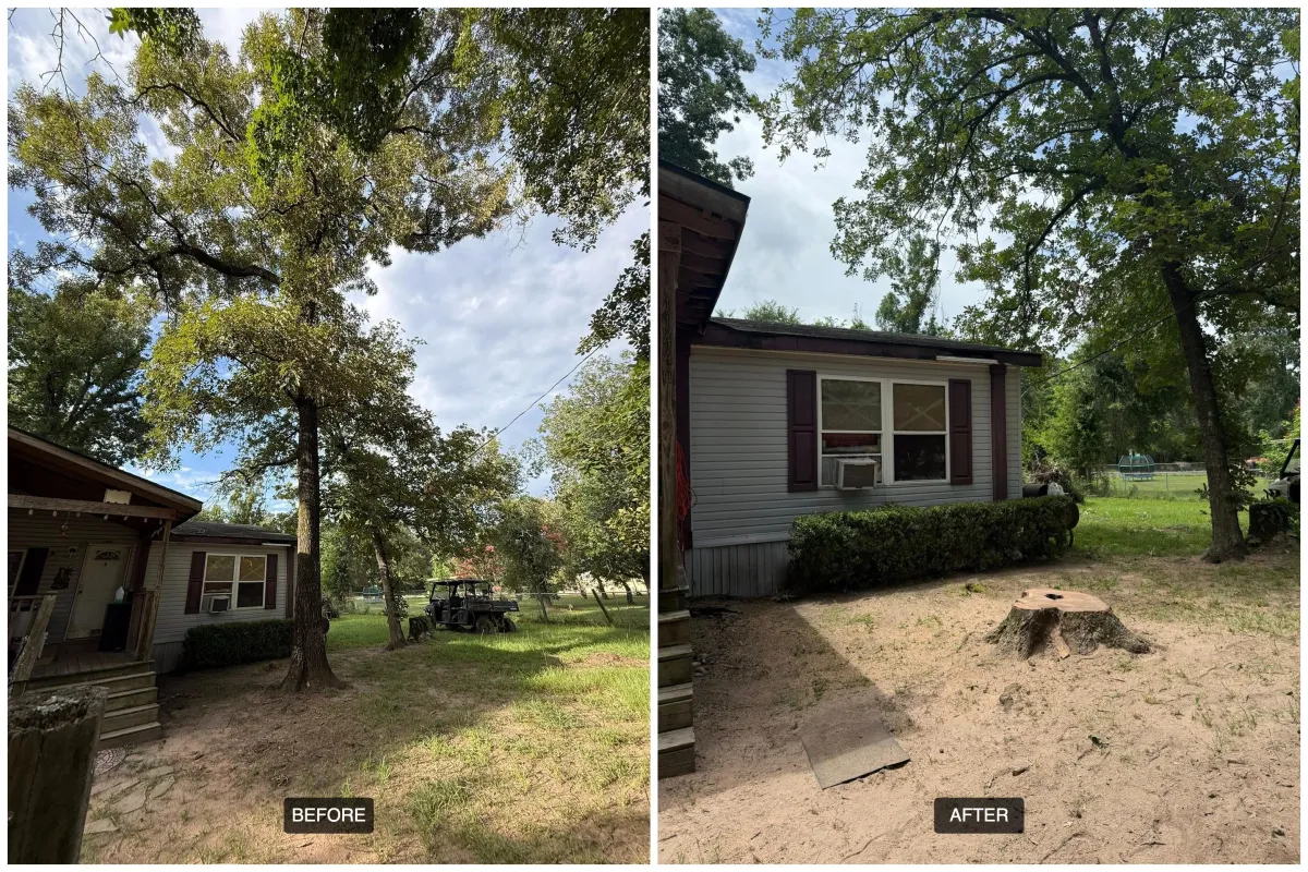Tree Removal