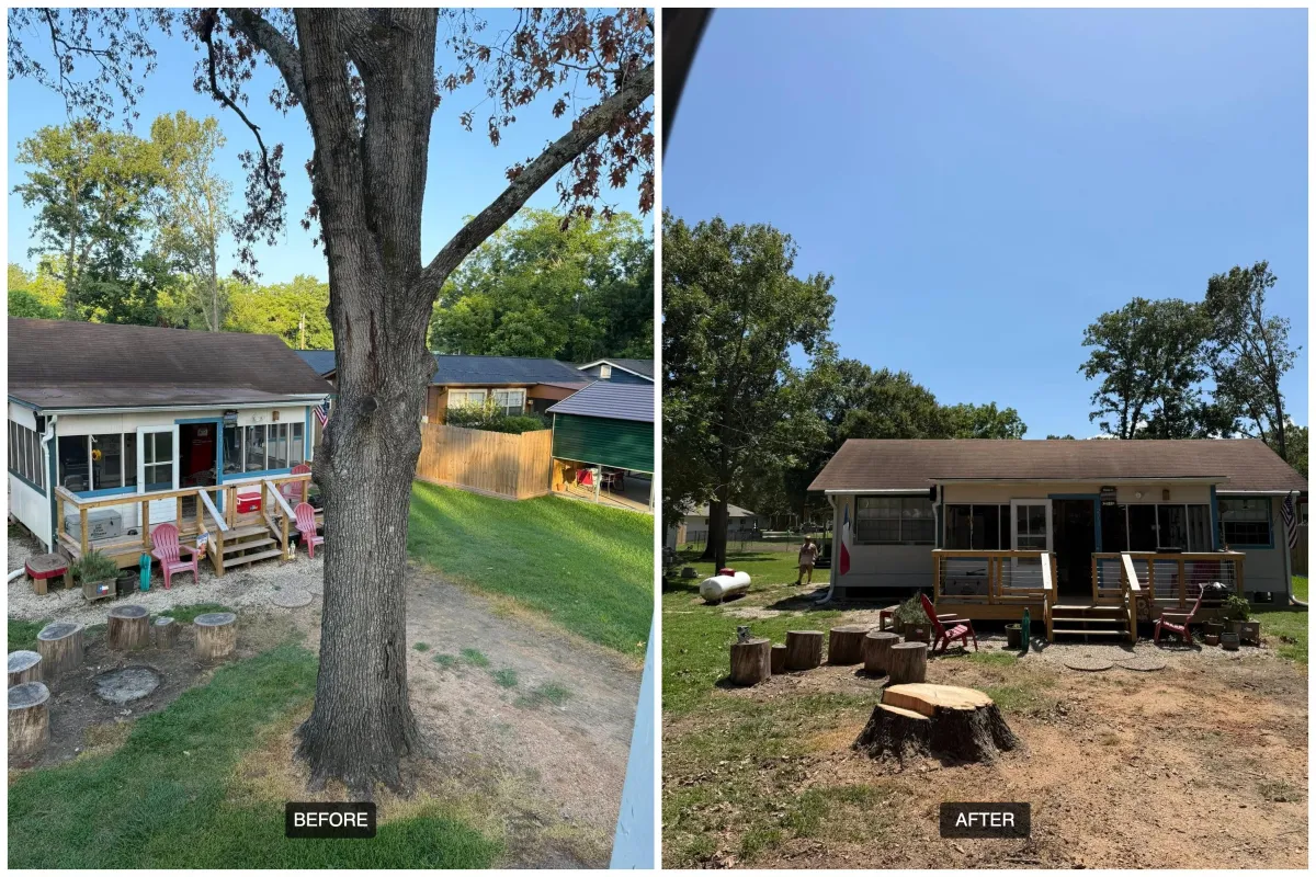Tree Removal