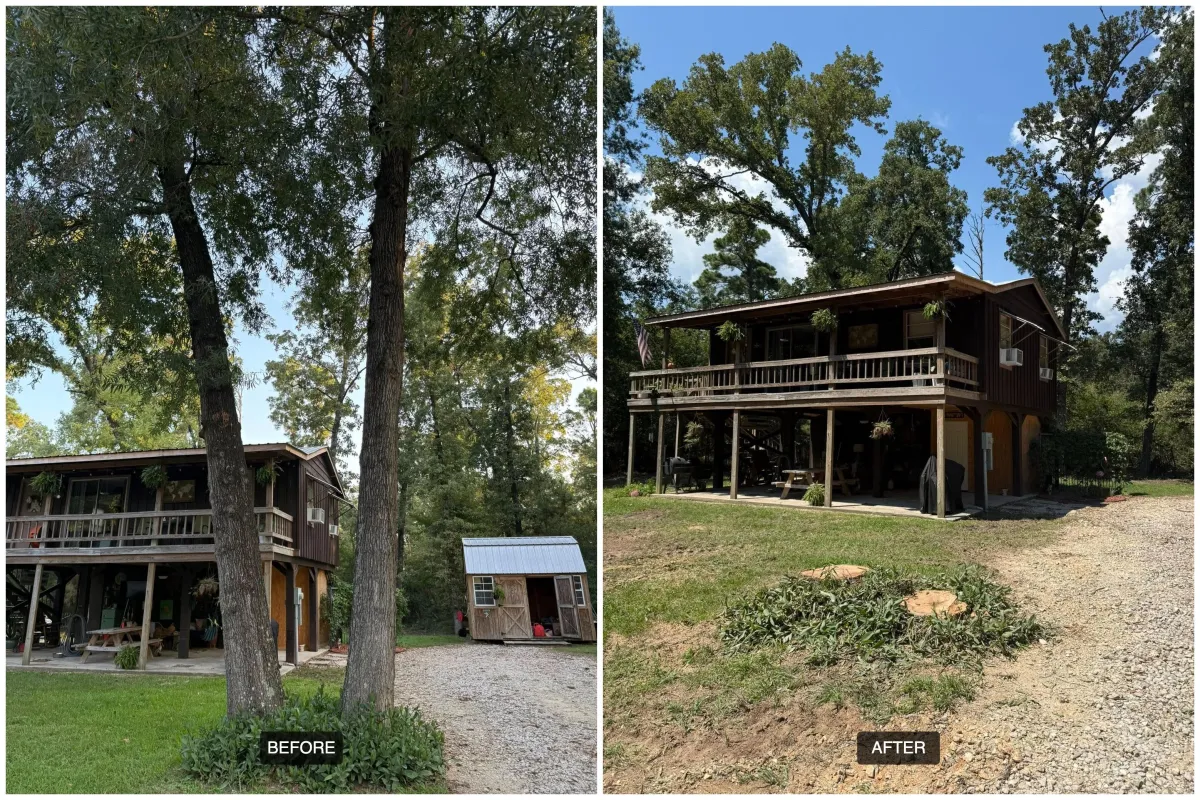 Tree Removal