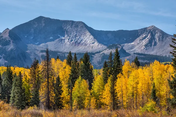 Fall colors and paint in Grand Junction, CO