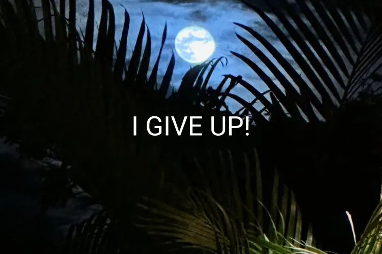 I had to surrender in Costa Rica.