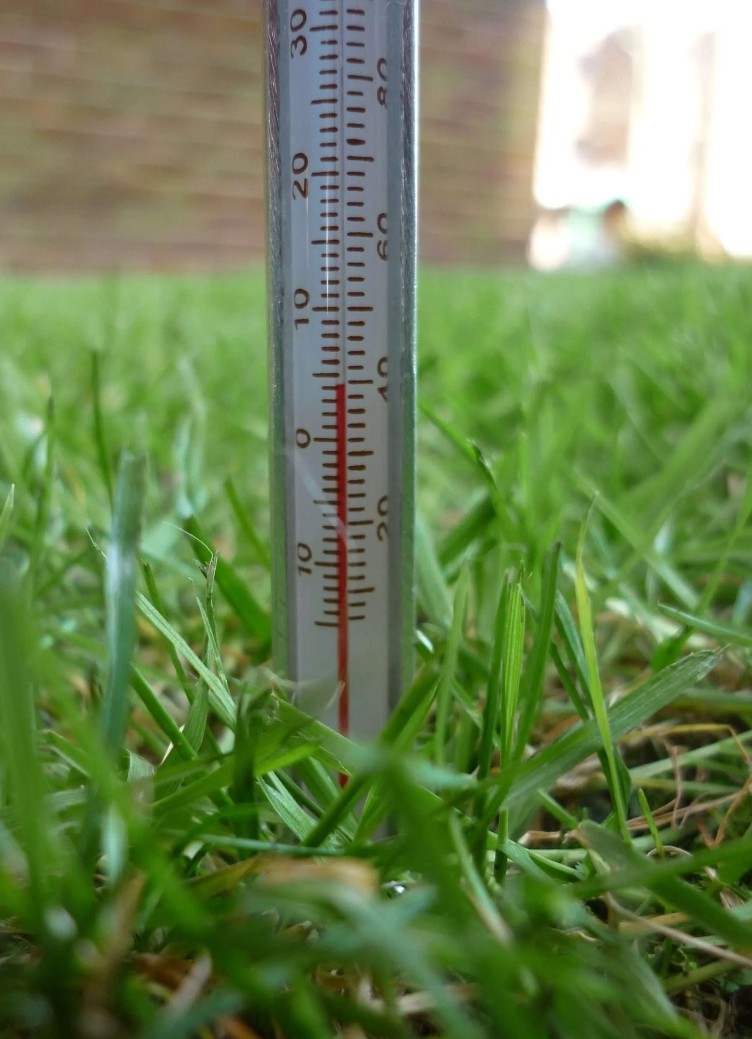 Soil temperature in North Texas is a critical lawn care metric. 