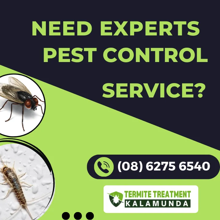 expert-pest-management-perth