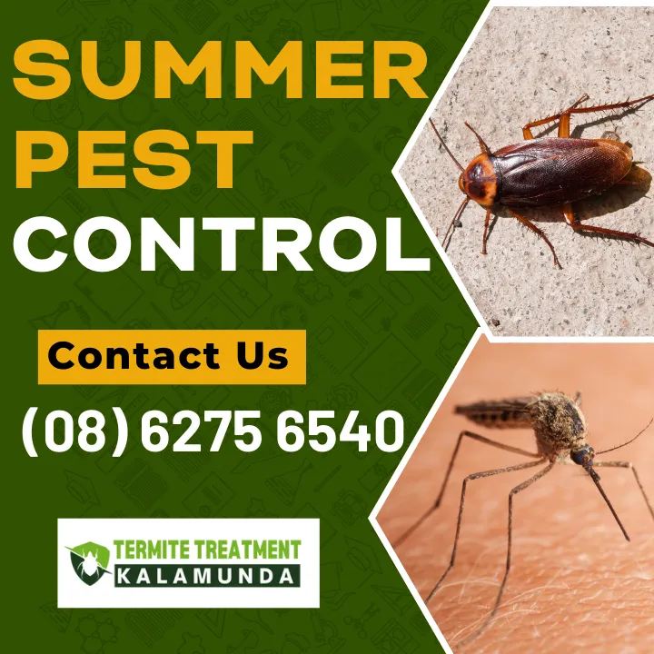 summer-pest-control-kalamunda