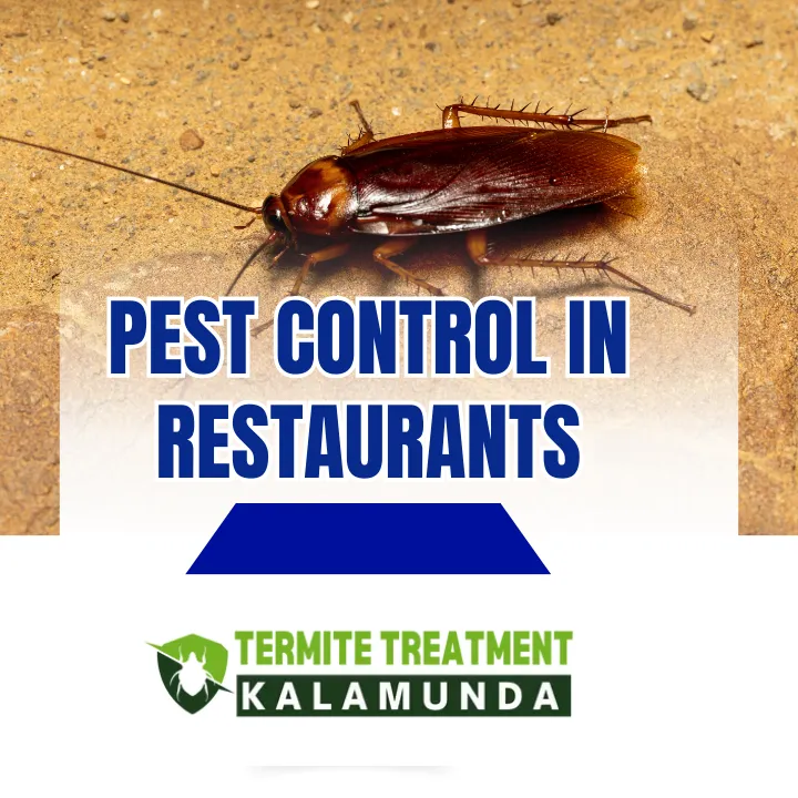 why-restaurants-need-pest-control