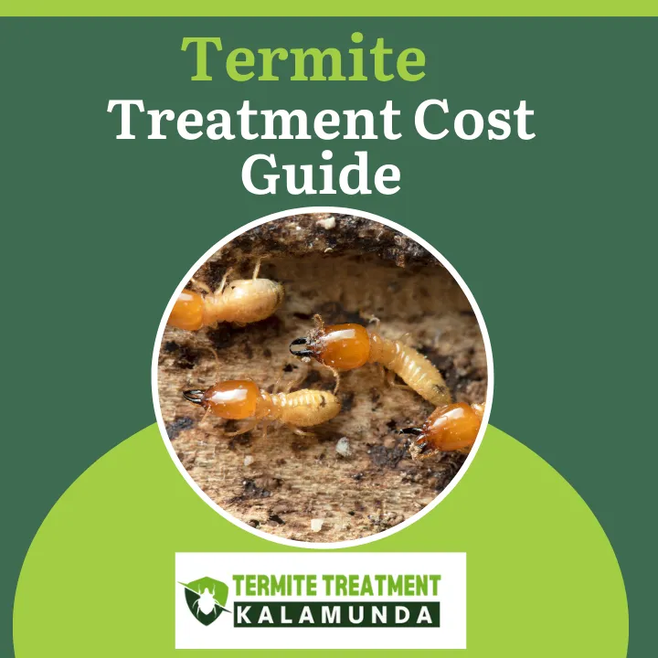cost-of-termite-barrier-treatment-price-guide