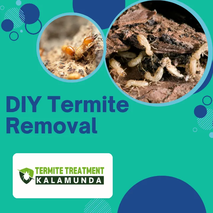 get-rid-of-termites-yourself