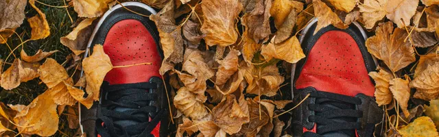 promenad i höstlöv